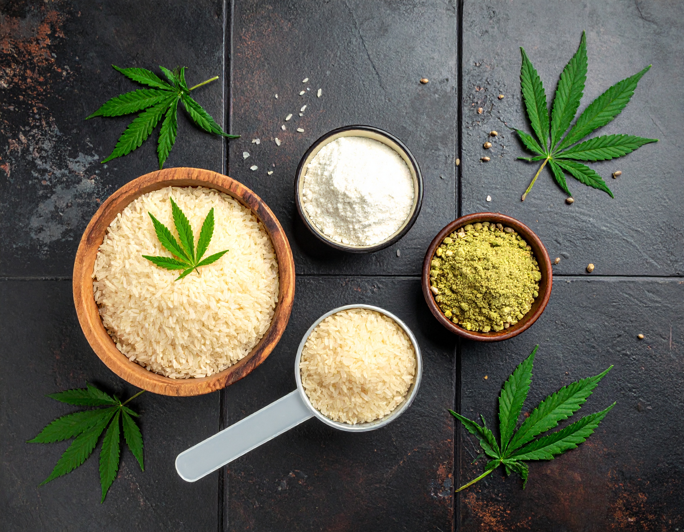 【徹底比較】麻（ヘンプ）プロテイン vs 米（ライス）プロテイン：消化のしやすさ・アレルギーリスク