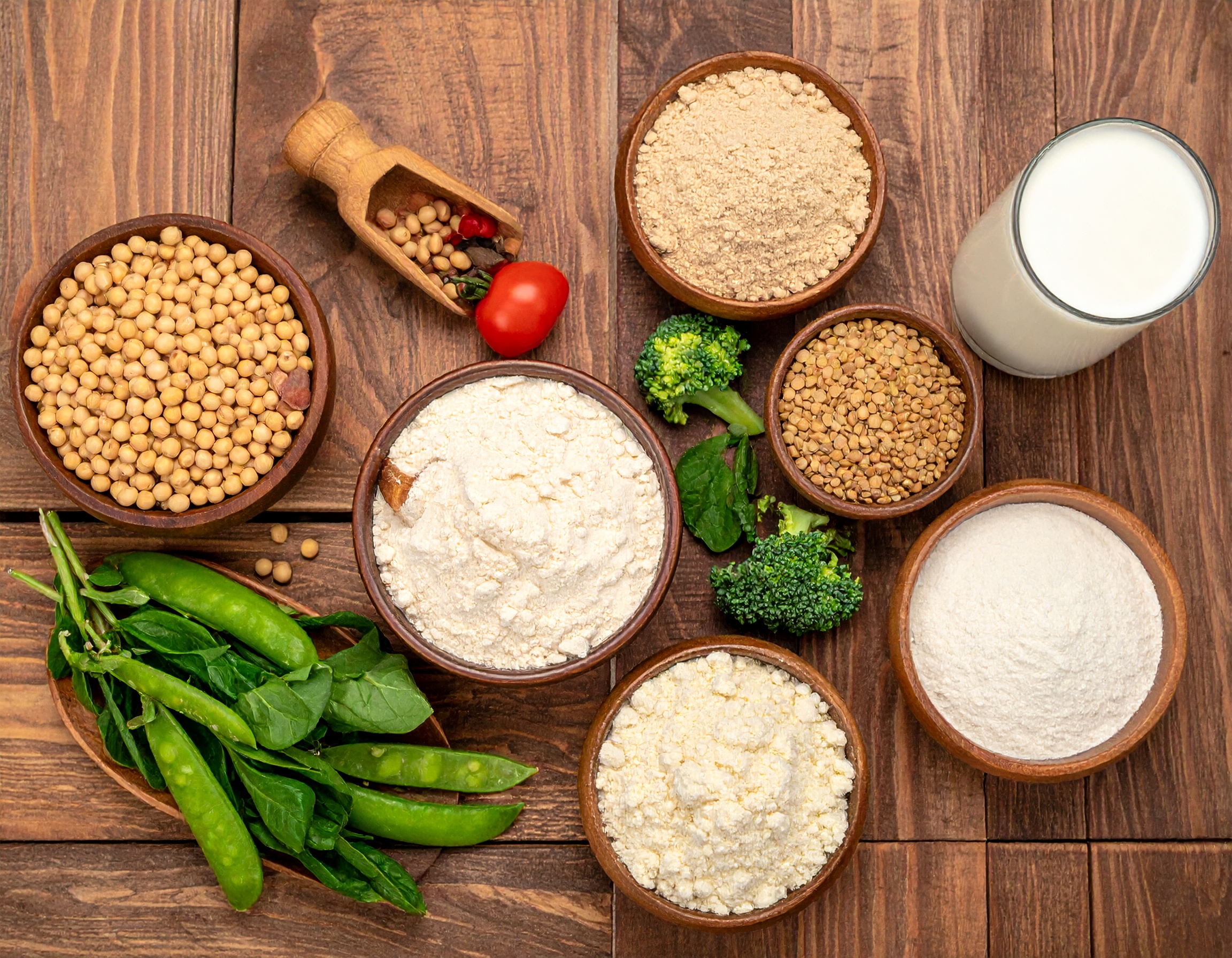 高カカオ食品（カカオニブ）のトレーニング効果とヴィーガンサプリとしての利用法